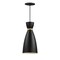 Maxim Lighting Carillon 1-Light Elongated Mini Pendant, Black/Satin Brass 11301BKSBR - alternate 1
